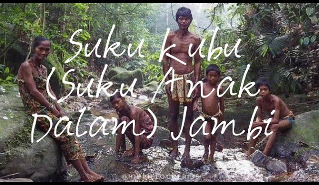 Riset Kehidupan Suku Anak Dalam di Pedalaman Jambi: Tradisi, Tantangan, dan Upaya Pelestarian