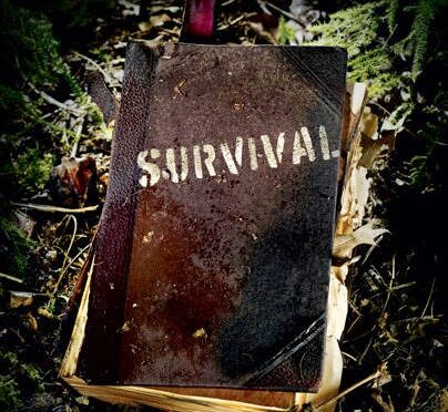 Riset Kehidupan Survive dalam Kehidupan Sehari-Hari: Membangun Ketahanan Fisik, Mental, dan Emosional